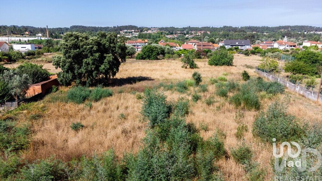 Land in Pampilhosa - view 1