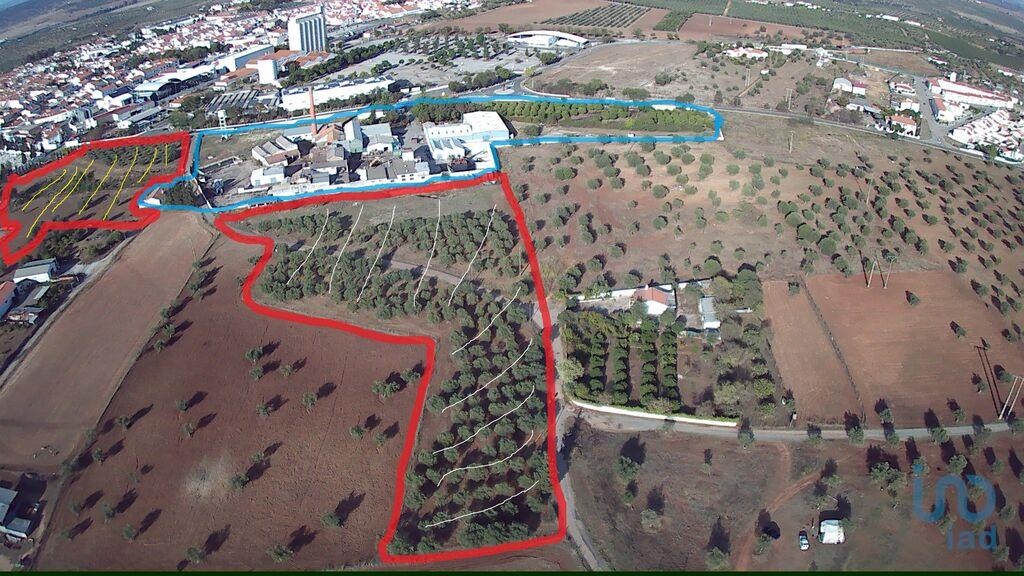 Land in Moura - view 1
