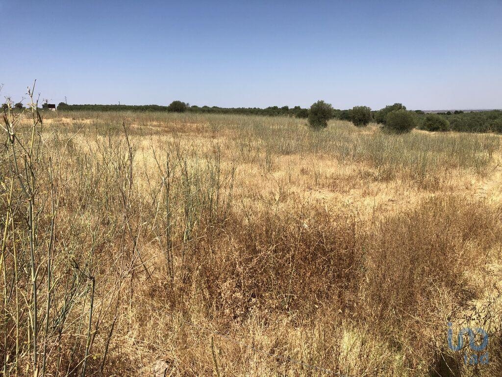 Land in Moura - view 1