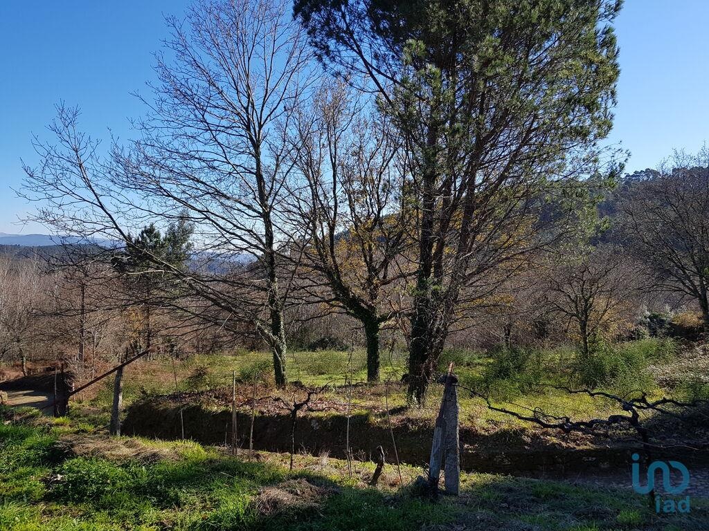 Land in Vila Nova de Cerveira - view 1