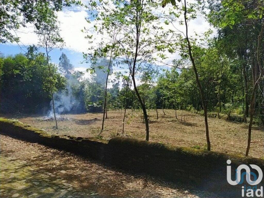 Land in Caminha - view 1