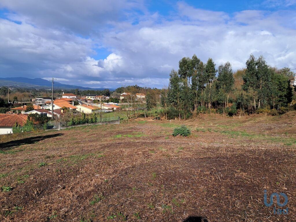 Land in Vila Nova de Cerveira - view 1