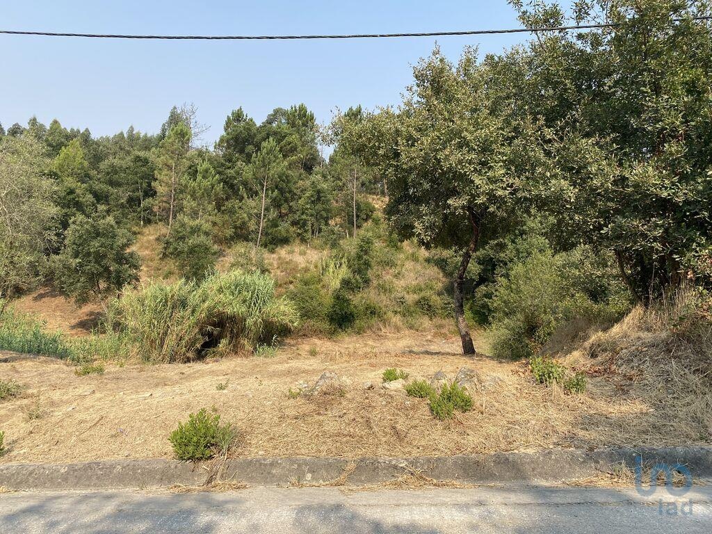 Land in Leiria - view 1