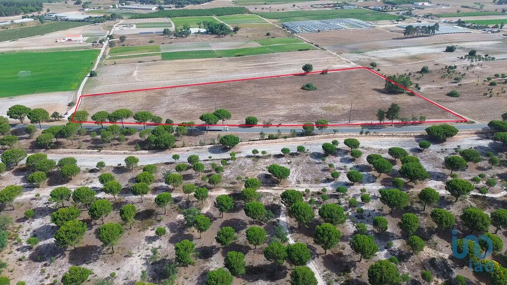 Land in Montijo - view 1