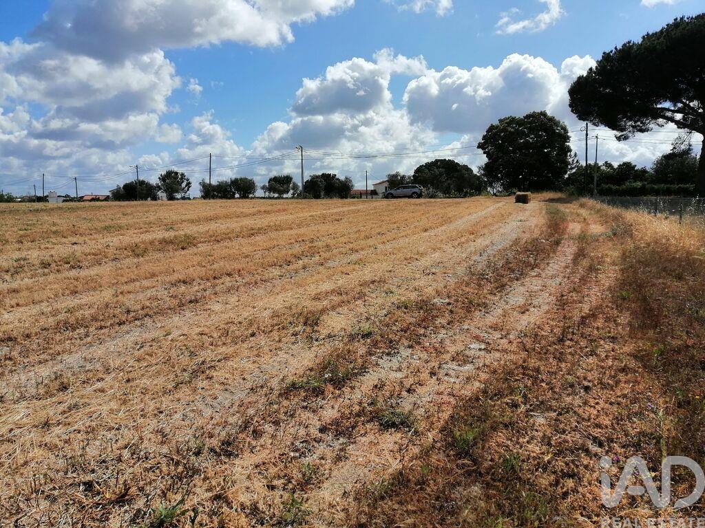 Land in Pegoes - view 1