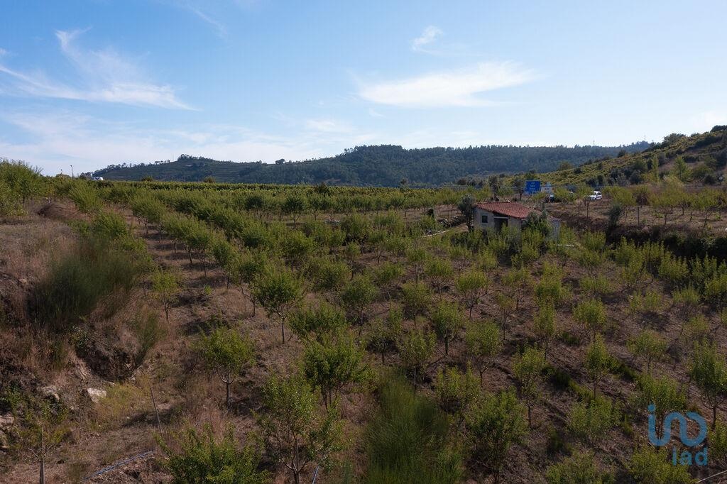 Land in Miranda do Corvo - view 1