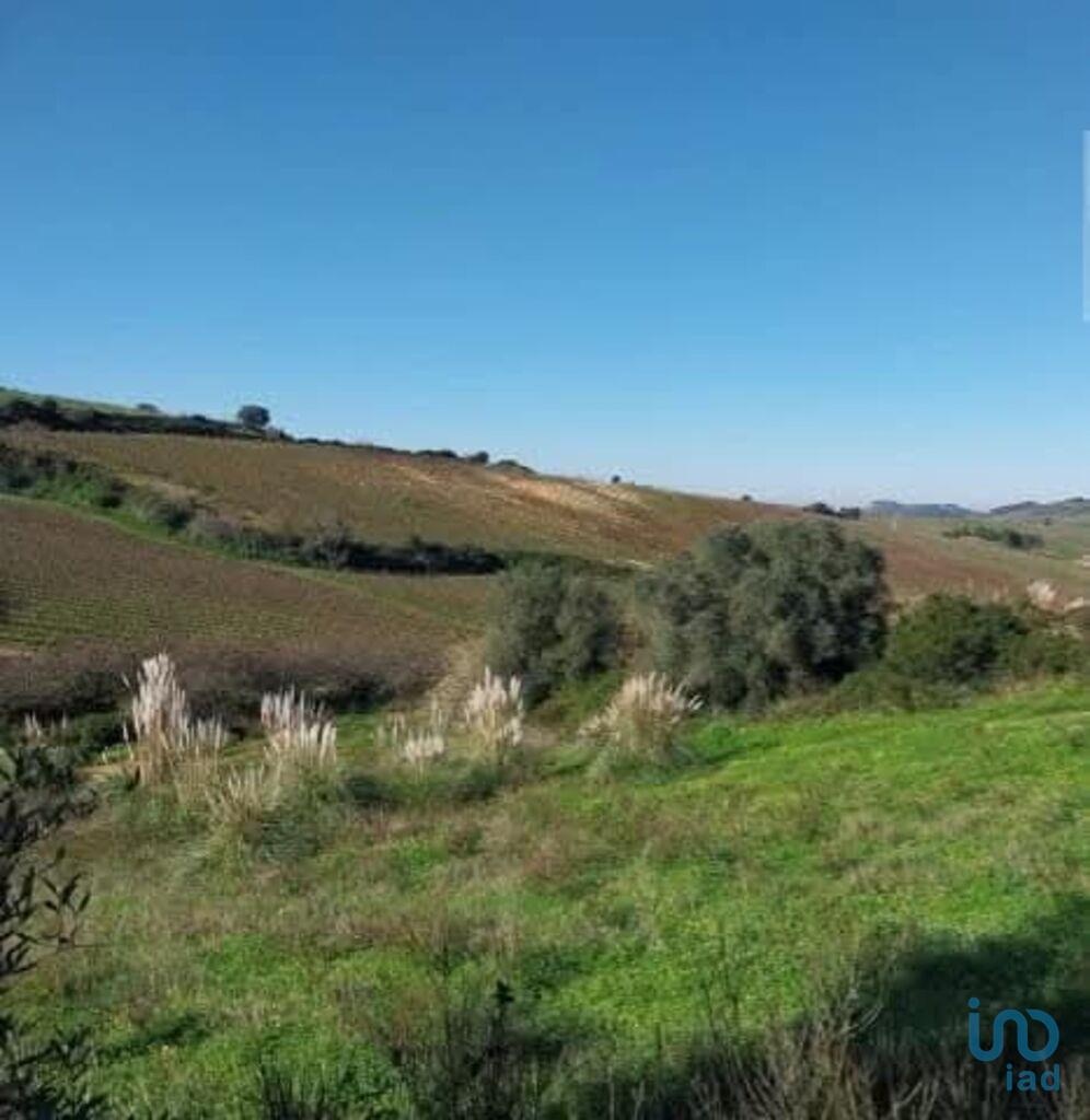 Land in Torres Vedras - view 1
