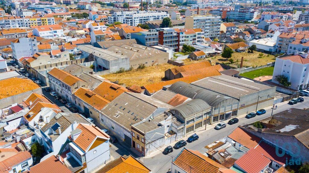 Land in Montijo - view 1