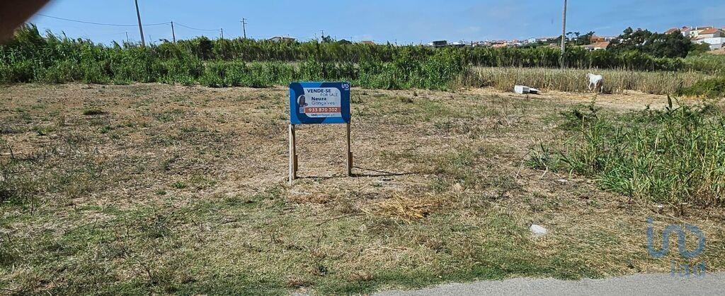 Land in Torres Vedras - view 1