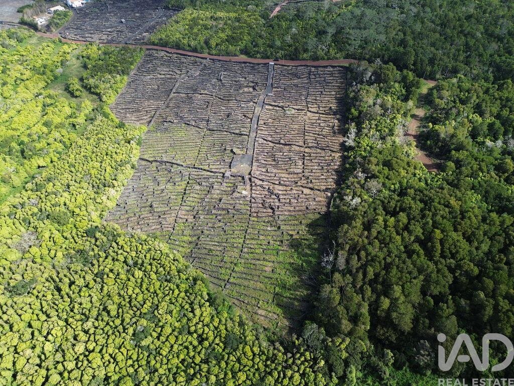 Land in Madalena - view 1