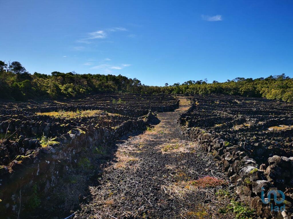 Land in Madalena - view 1