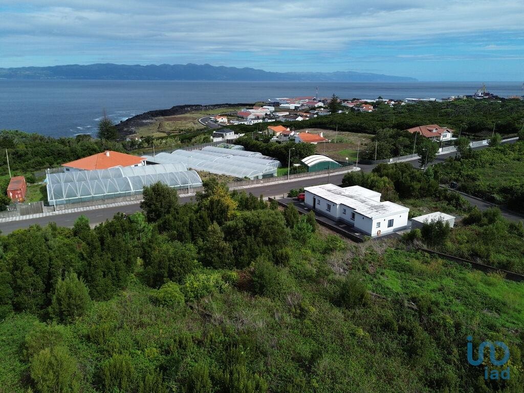 Land in Sao Roque do Pico - view 1