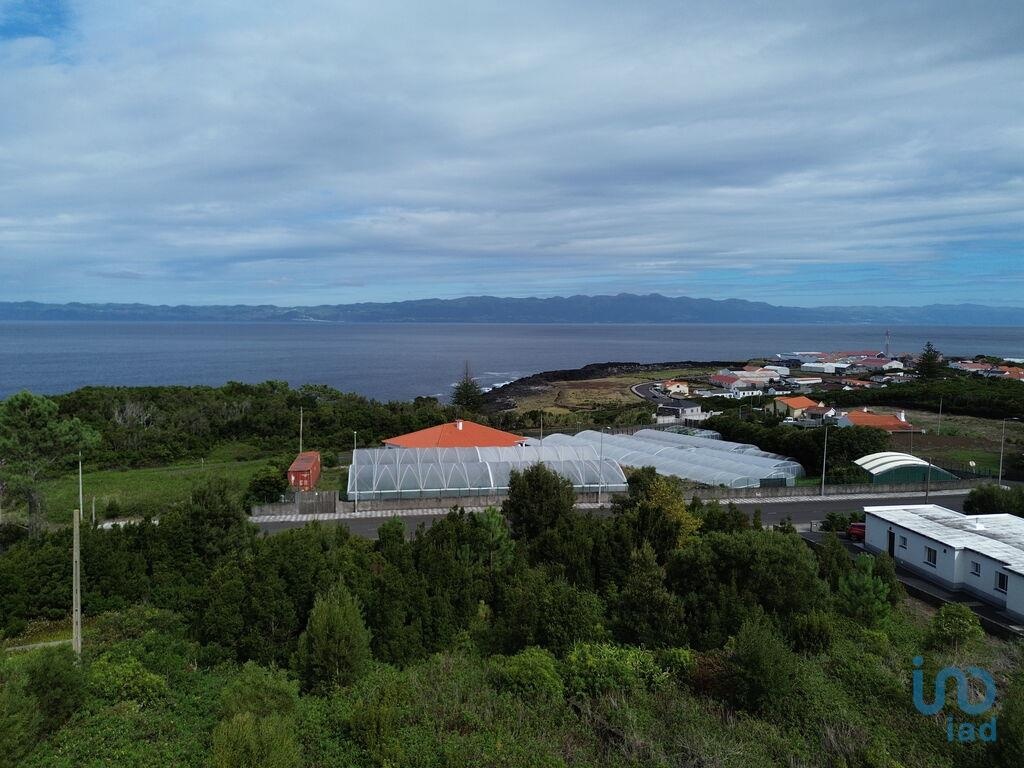Land in Sao Roque do Pico - view 1