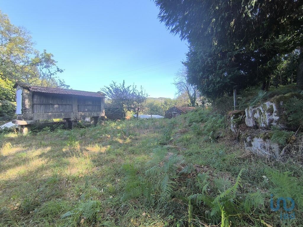 Land in Vieira do Minho - view 1