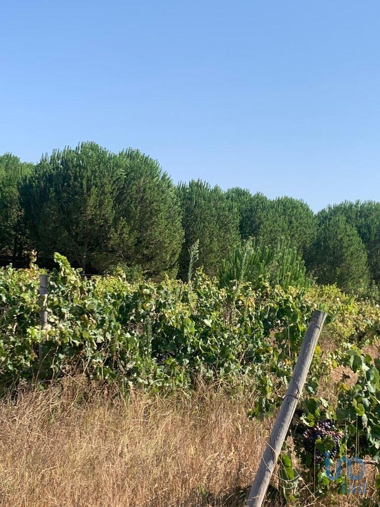 Land in Palmela - view 1