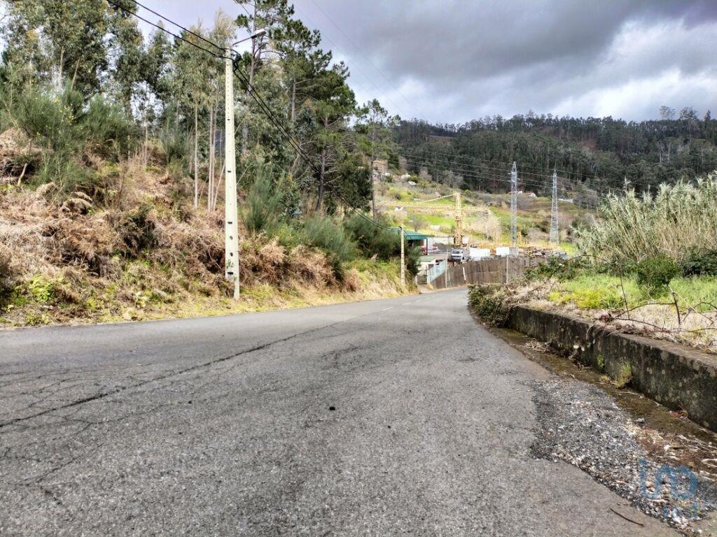 Land in Ponta do Sol - view 1