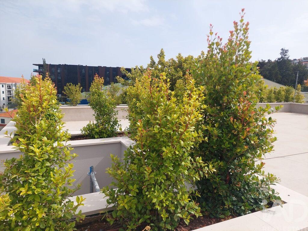 Apartment in Sao Martinho - view 1