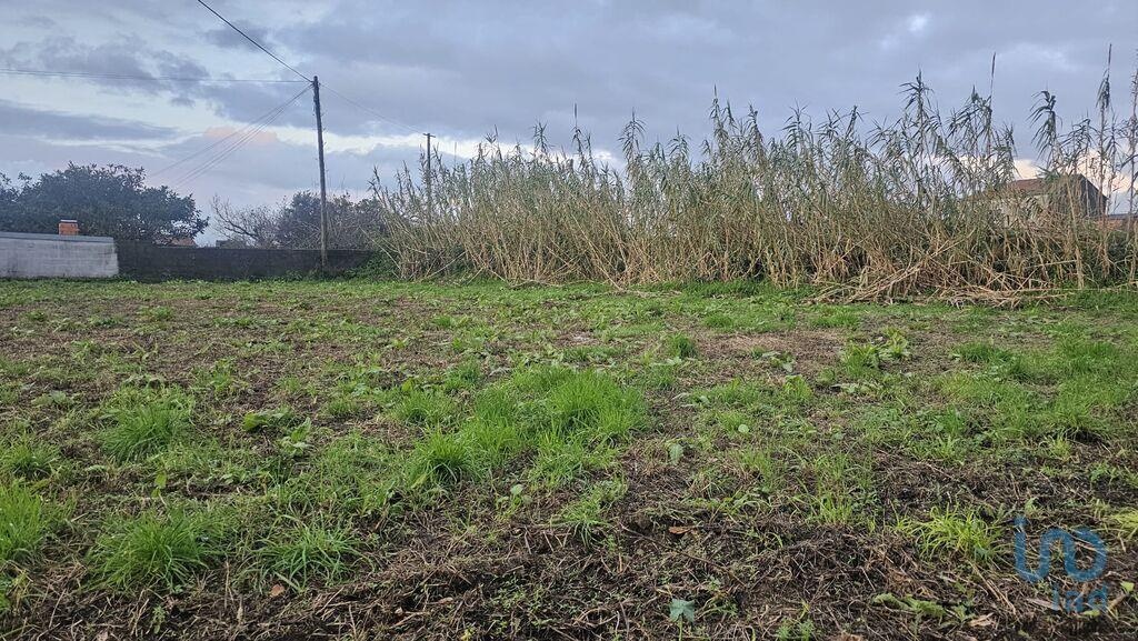Land in Esposende - view 1