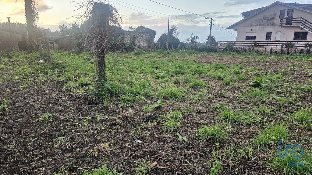 Land in Esposende - view 1