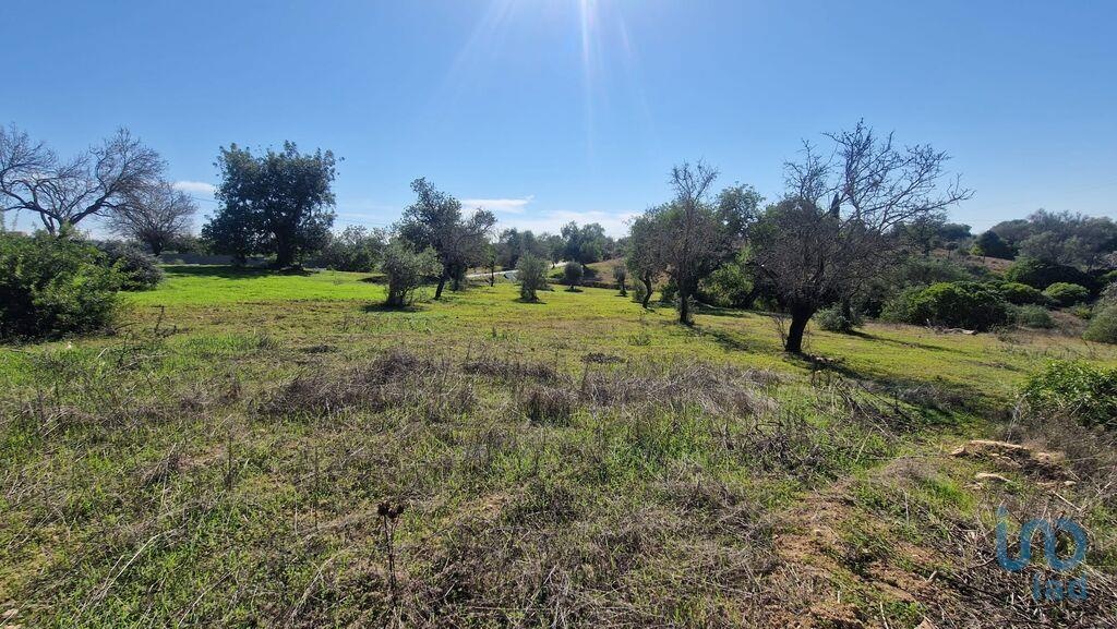 Land in Loule - view 1