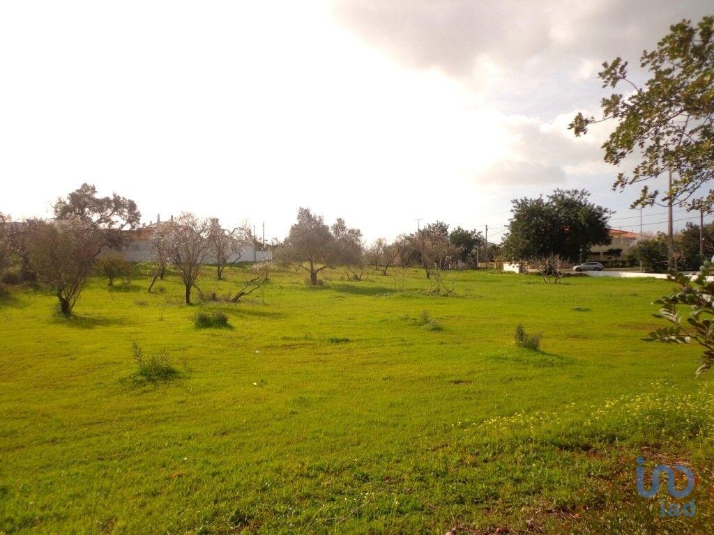 Land in Loule - view 1