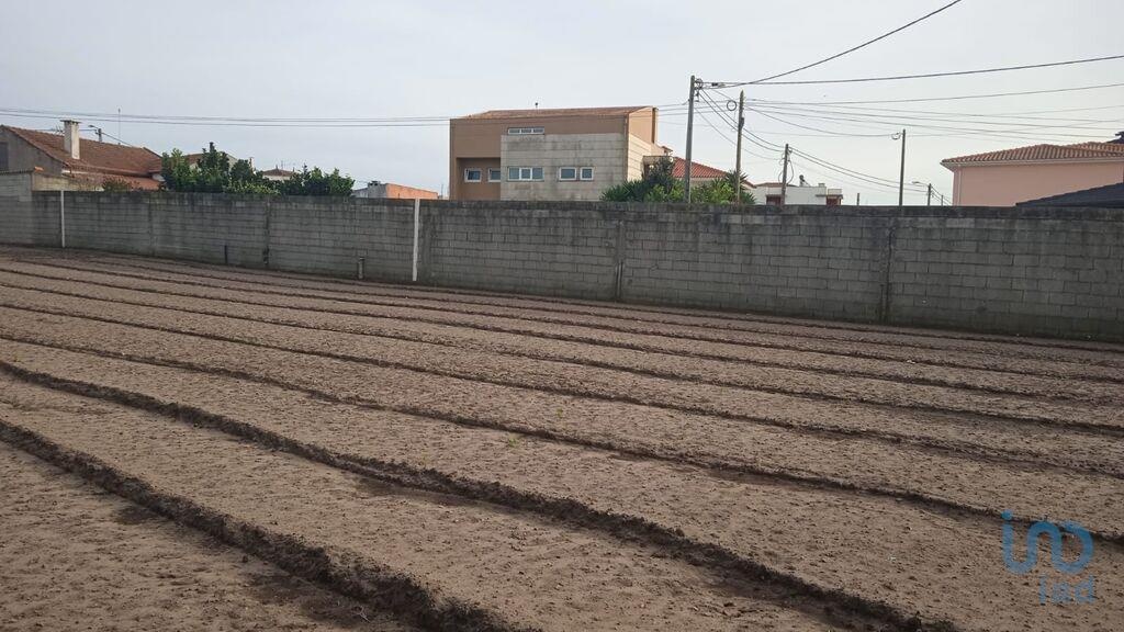 Land in Povoa de Varzim - view 1