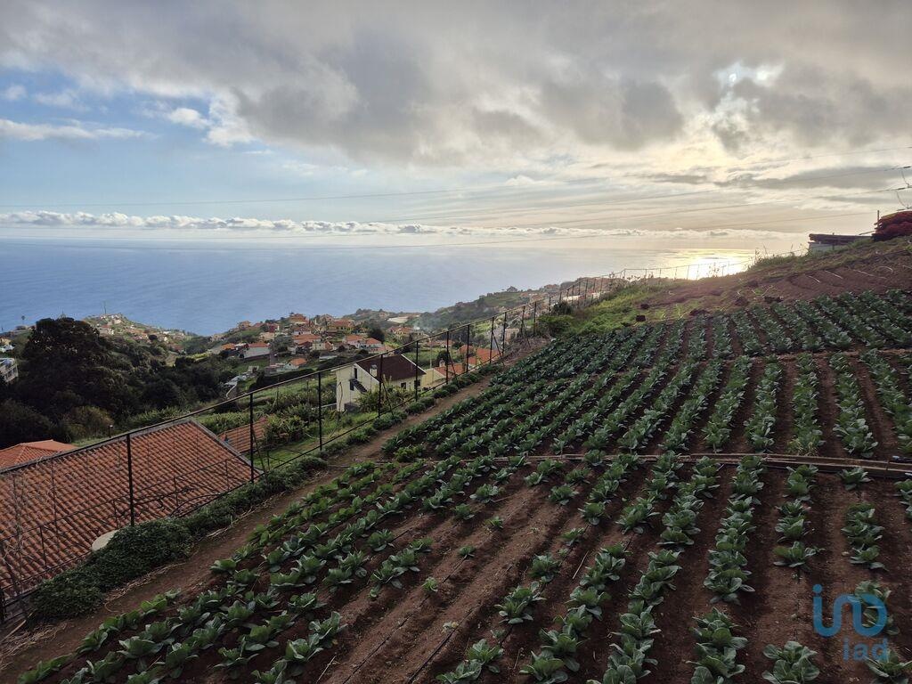 Land in Ponta do Sol - view 1