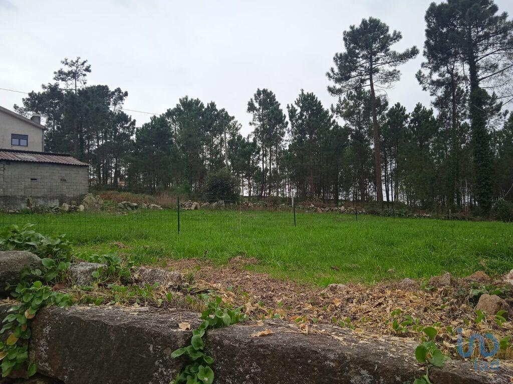 Land in Barcelos - view 1