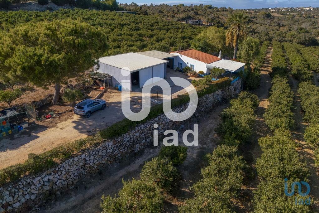 House in Silves - view 1