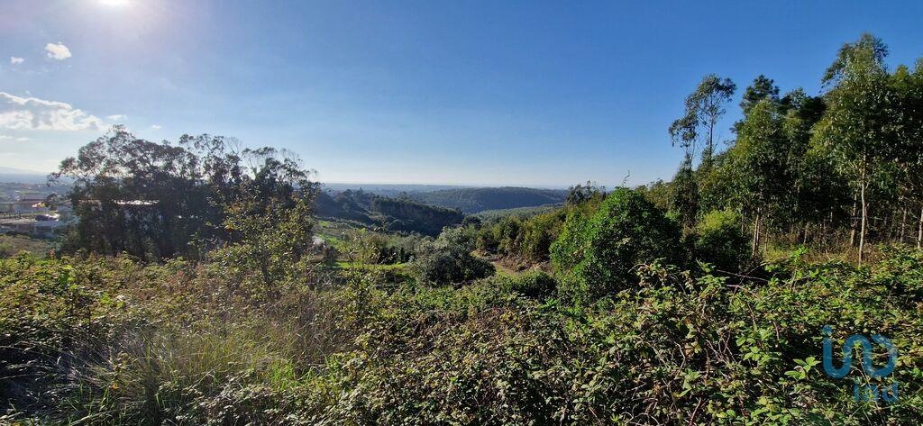 Land in Mafra - view 1