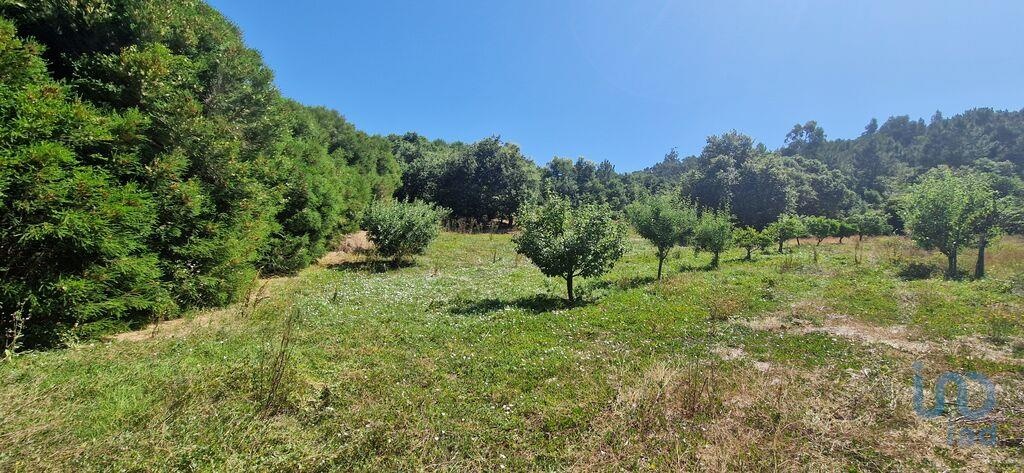 Land in Mafra - view 1