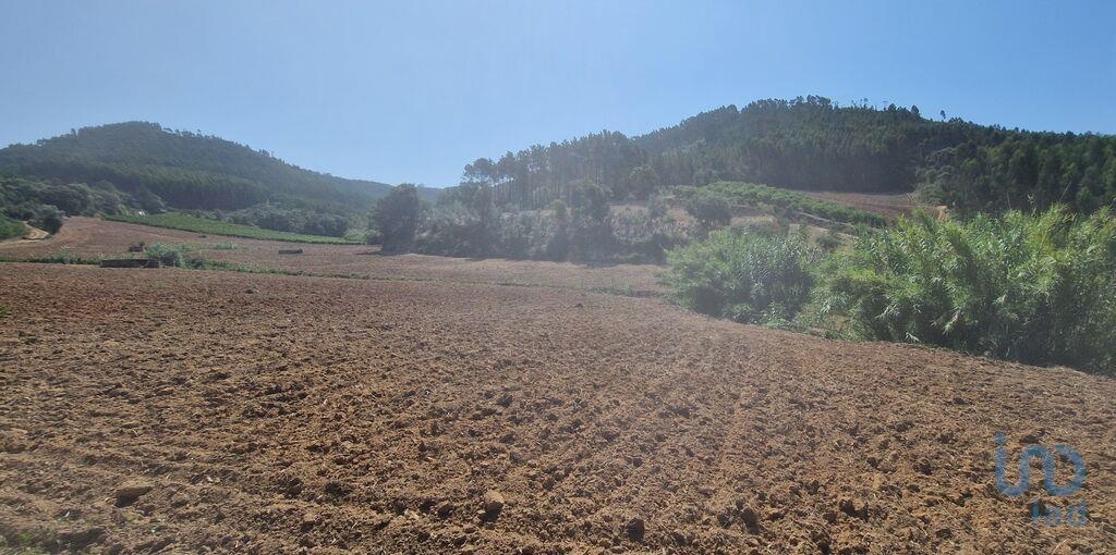 Land in Mafra - view 1