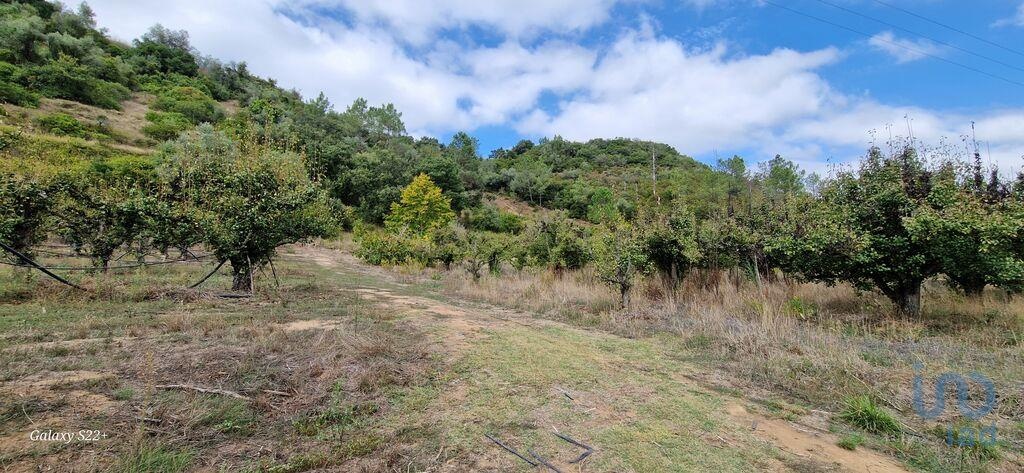 Land in Mafra - view 1