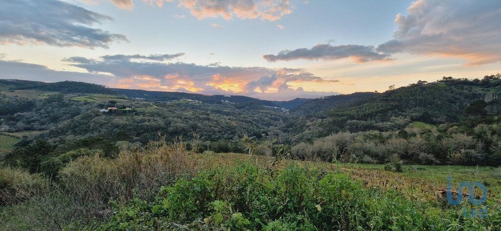 Land in Mafra - view 1