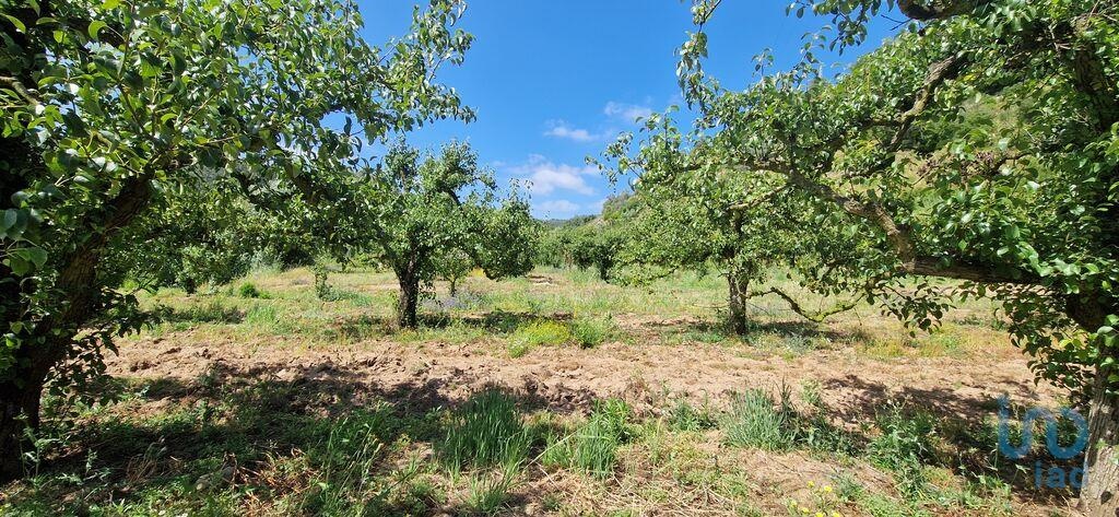 Land in Mafra - view 1