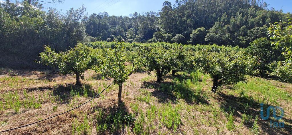Land in Mafra - view 1