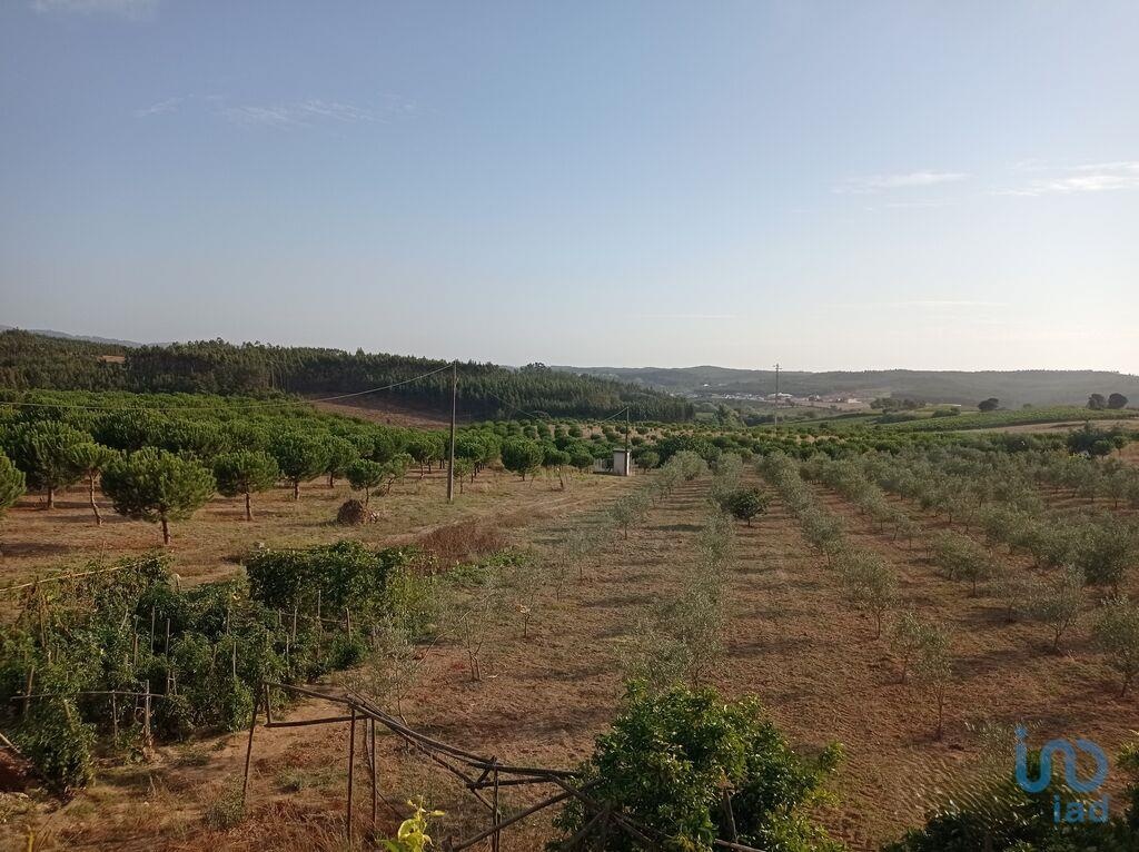 Land in Cadaval - view 1