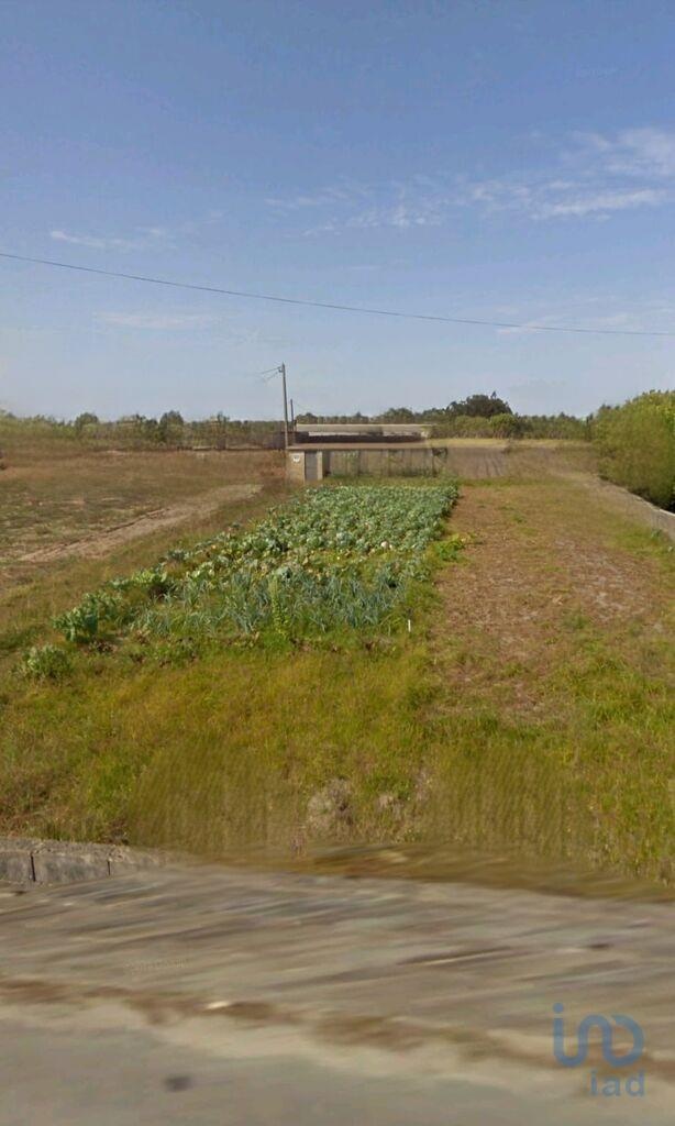 Land in Murtosa - view 1