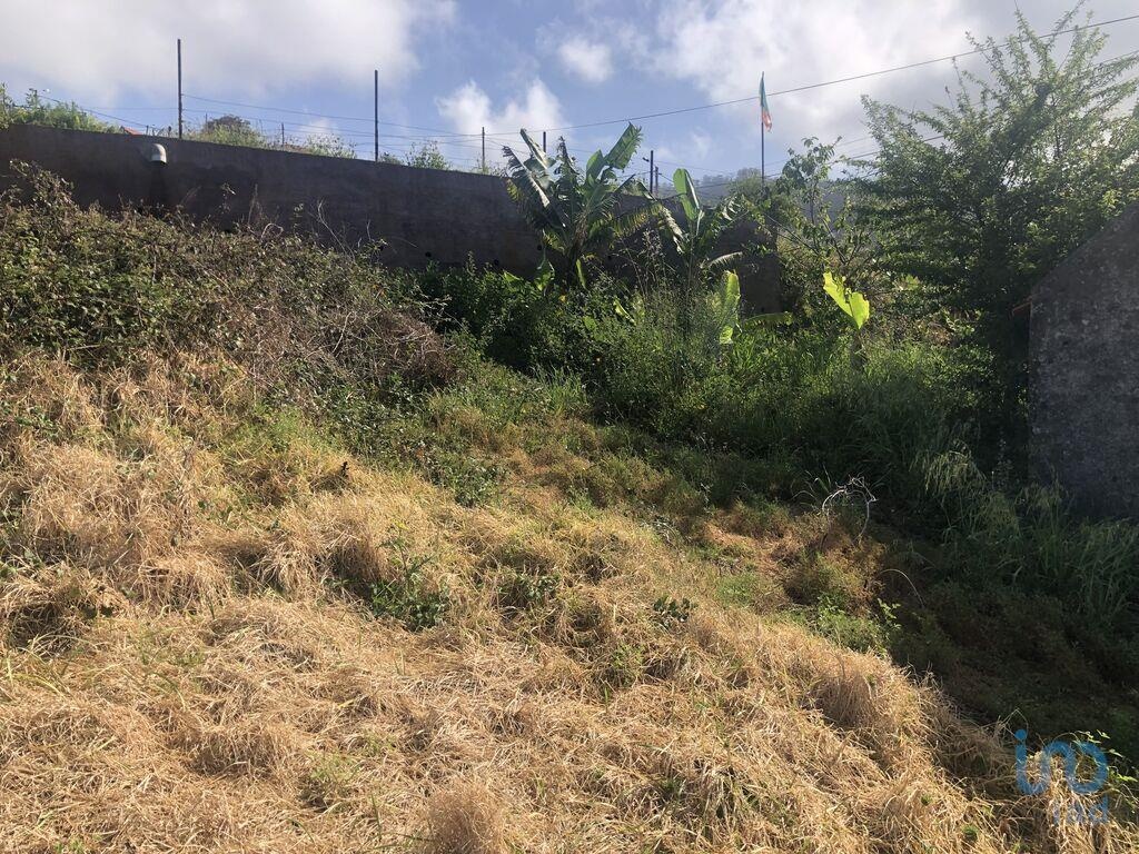 Land in Ponta do Sol - view 1