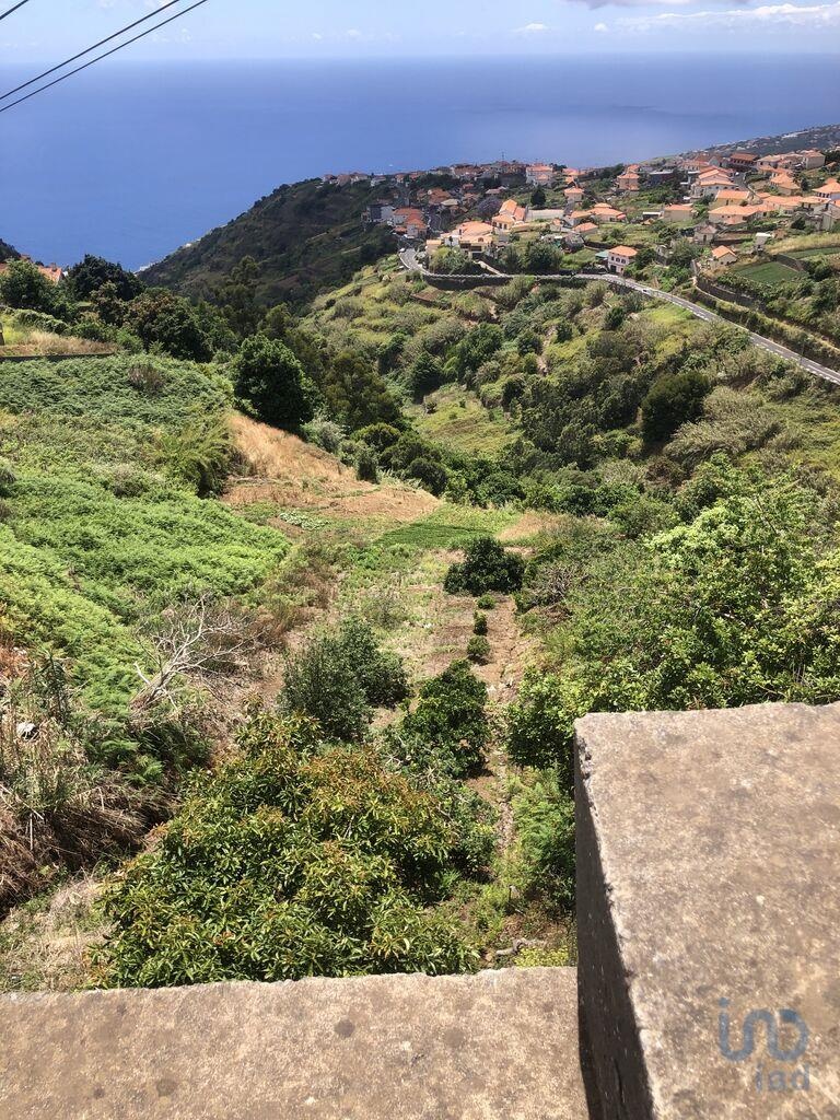House in Estreito da Calheta - view 1