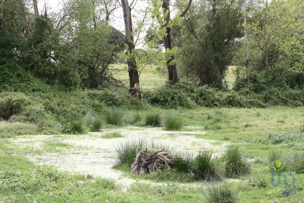Land in Palmela - view 1
