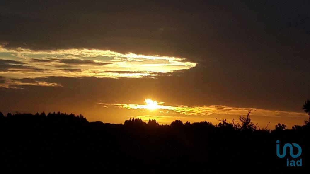 Land in Montijo - view 1