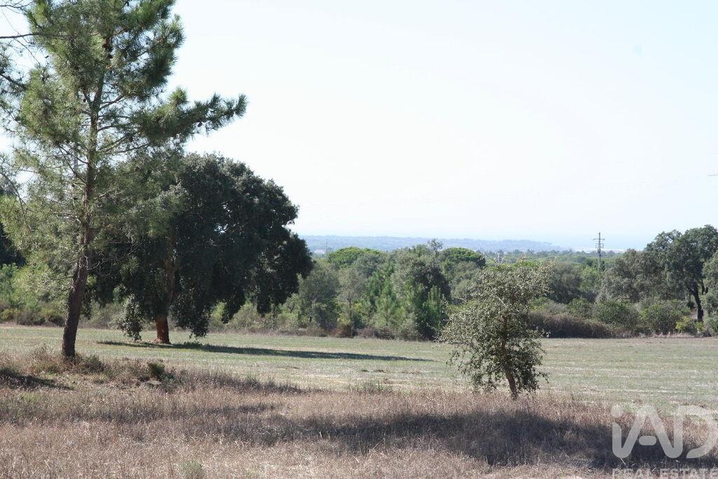 Land in Melides - view 1