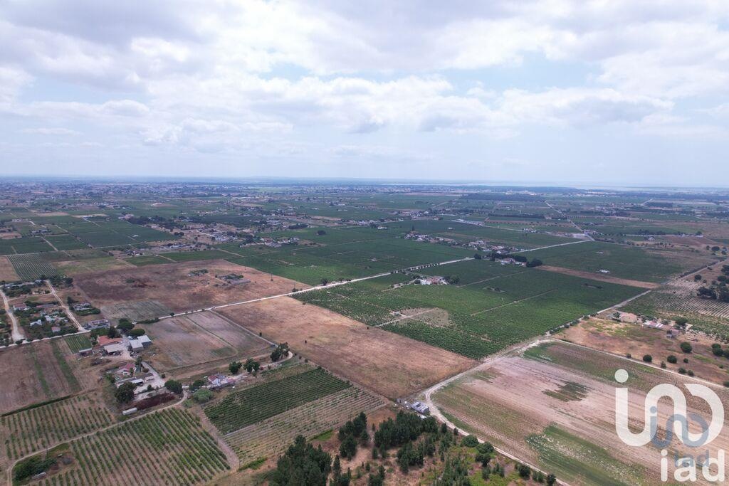 Land in Palmela - view 1