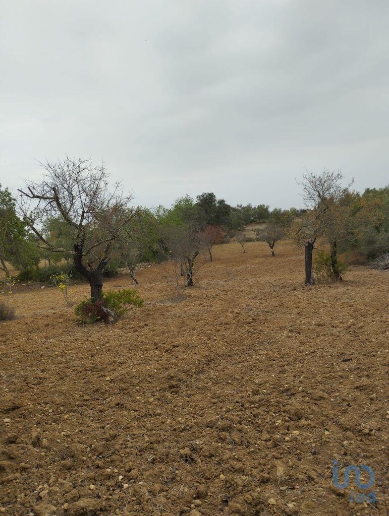 Land in Sao Bras de Alportel - view 1