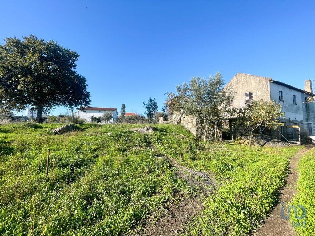Land in Viseu - view 1