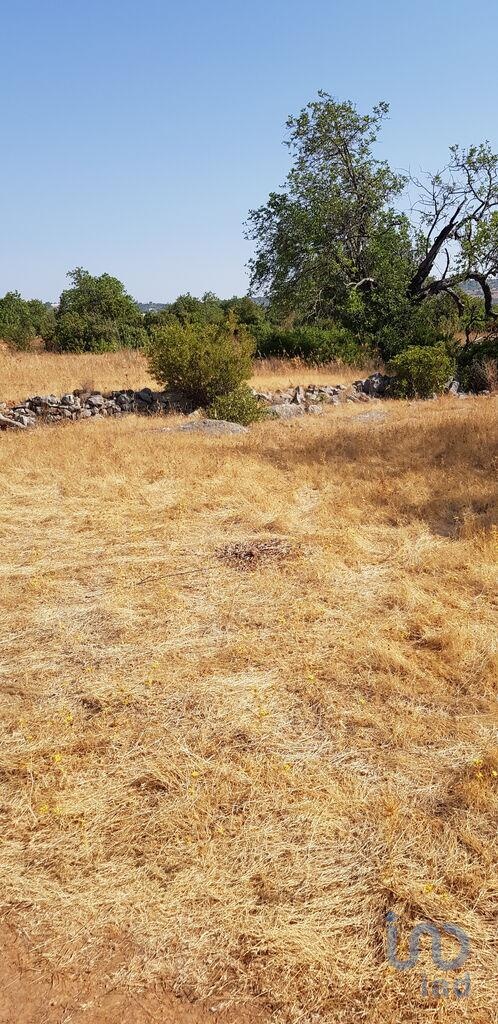 Land in Loule - view 1