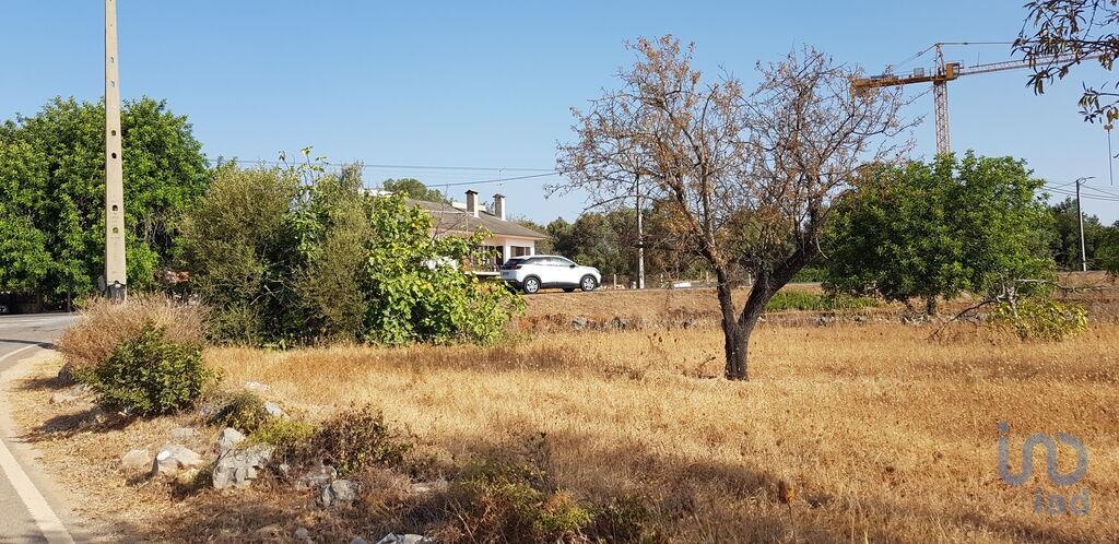 Land in Loule - view 1