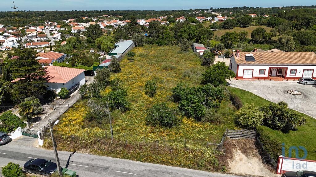 Land in Coruche - view 1