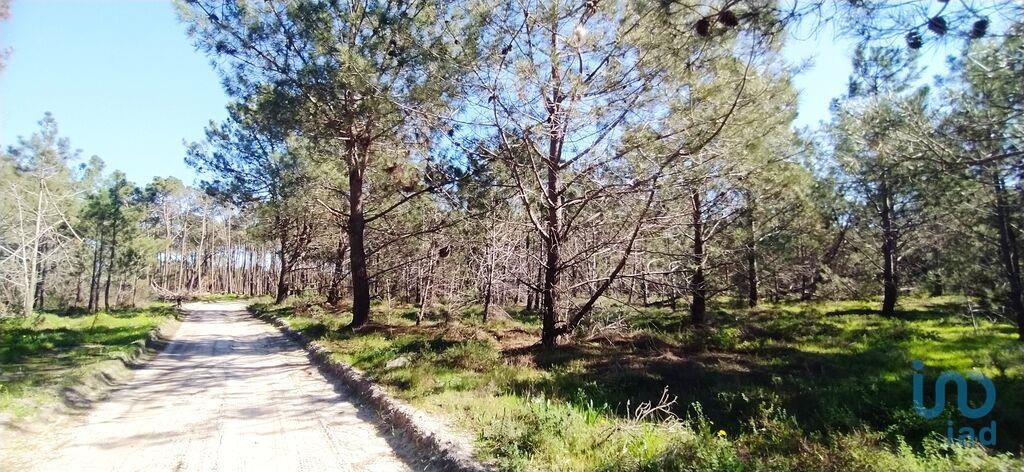 Land in Vila do Bispo - view 1